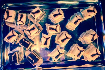 puma-love-thy-planet-bucharest-2012-2