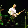 Status Quo
