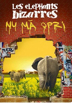 turneu-les-elephants-bizarres