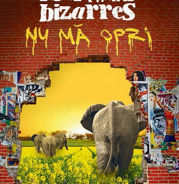 turneu-les-elephants-bizarres