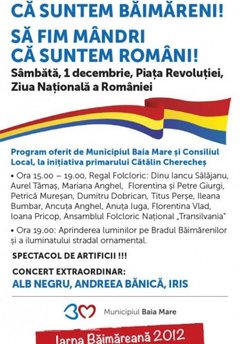 1decembrie Baia Mare