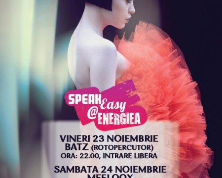 23-24-Noiembrie-Energiea