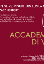 Academia Di Vino în Olivo Caffe din Cluj-Napoca