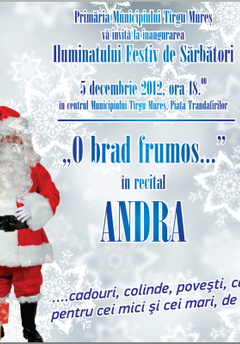 andra-concert
