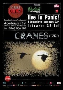 cranes_web
