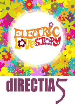 directia-5-electric-love-story