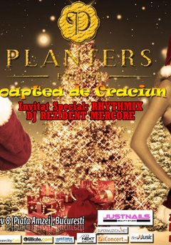 noapte-de-craciun-planters