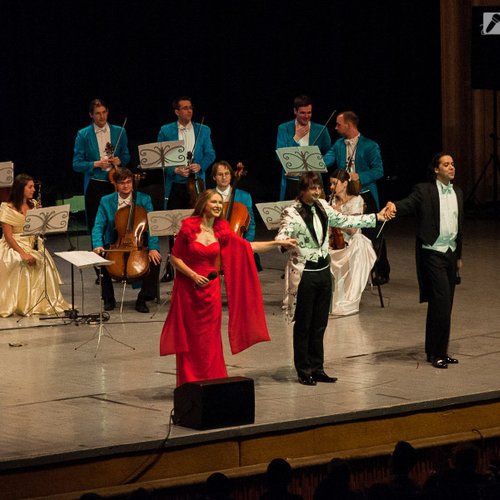 craciun-vienez-edvin-marton-2012-sala-palatului-11