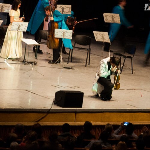 craciun-vienez-edvin-marton-2012-sala-palatului-22