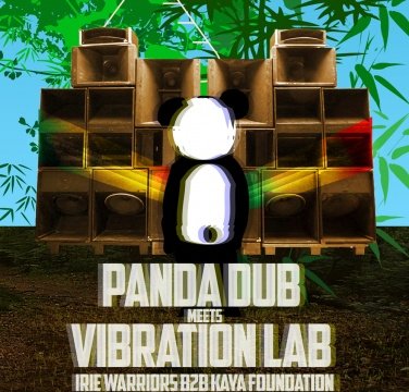 Panda Dub-Vibration Lab