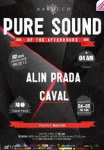 alin-prada-caval