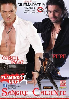 Flamingo Boys 2013 – Concert Pepe