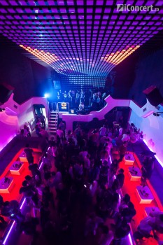 charlie-boy-finnebassen-studio-martin-bucuresti-03