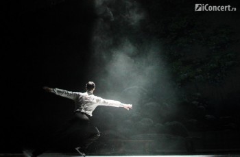 lacul-lebedelor-sala-palatului-bucuresti-01