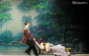 lacul-lebedelor-sala-palatului-bucuresti-06