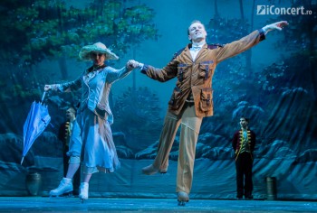 lacul-lebedelor-sala-palatului-bucuresti-09