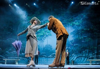 lacul-lebedelor-sala-palatului-bucuresti-10