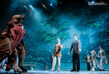 lacul-lebedelor-sala-palatului-bucuresti-11