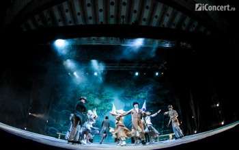 lacul-lebedelor-sala-palatului-bucuresti-12