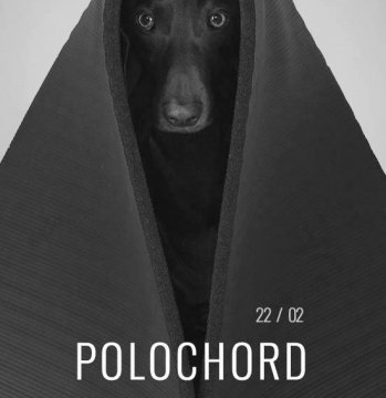 polochord-la-gazette