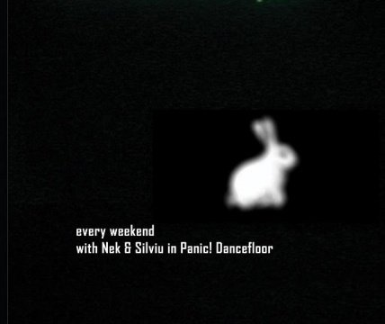 nek-silviu-panic