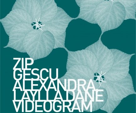 zip-gescu-alexandra