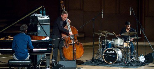 Avishai-Cohen