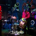 fanfare-ciocarlia
