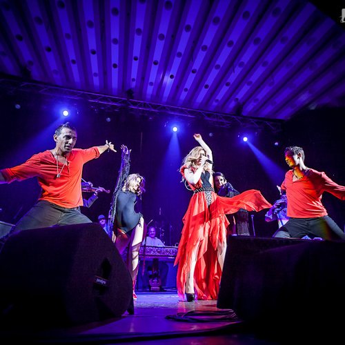 2-diana-matei-taraful-cleante-sala-palatului-bucuresti-03