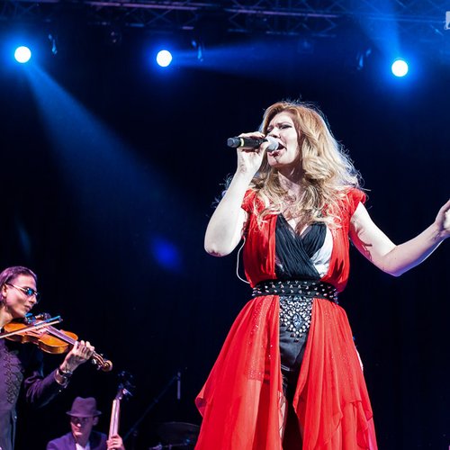 2-diana-matei-taraful-cleante-sala-palatului-bucuresti-11