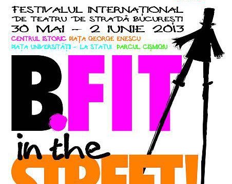 B-FIT 2013