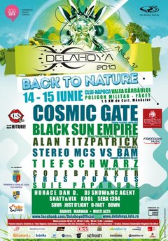 Festivalul Delahoya 2013 la Cluj-Napoca
