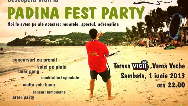 Padina Fest 2013 Party