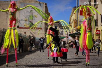 b-fit-in-street-bucuresti-2013-14