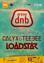 calyx-teebee-loadstar-arena-dnb-iunie-2013