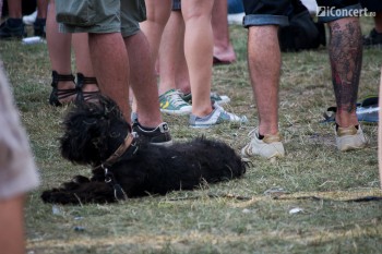 electric-castle-festival-22-iunie-2013-a-doua-zi-08