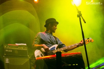 electric-castle-festival-22-iunie-2013-a-doua-zi-33