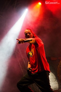 electric-castle-festival-22-iunie-2013-a-doua-zi-68