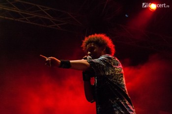 electric-castle-festival-22-iunie-2013-a-doua-zi-69