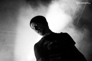 electric-castle-festival-23-iunie-2013-a-treia-zi-25