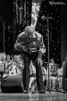 nicolae-botgros-sala-palatului-bucuresti-2013-11