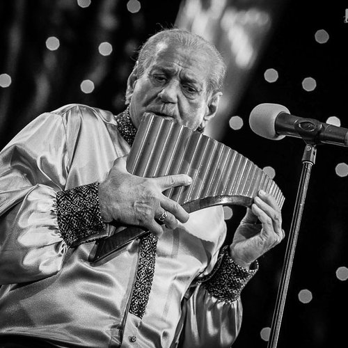 nicolae-botgros-sala-palatului-bucuresti-2013-12