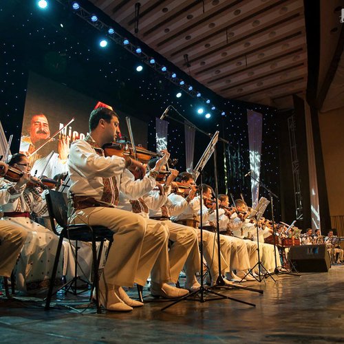 nicolae-botgros-sala-palatului-bucuresti-2013-36