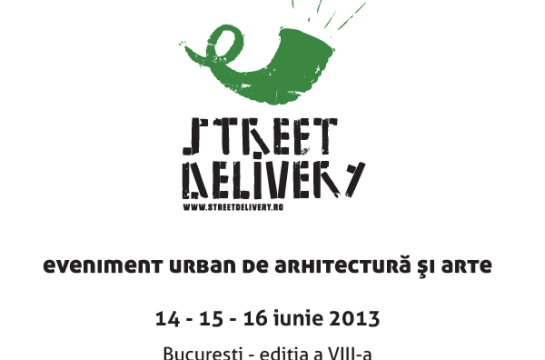 street-delivery-2013-timisoara