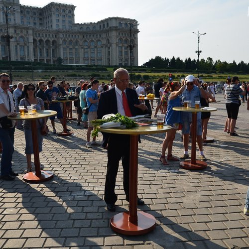 zilele-prieteniei-2013-piata-constitutiei-bucuresti-29-iunie-12