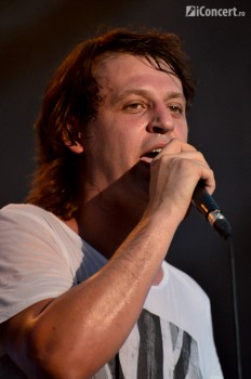 zilele-prieteniei-2013-piata-constitutiei-bucuresti-29-iunie-28