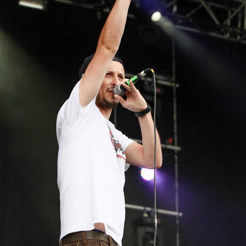 3-subcarpati-bestfest-2013-bucuresti-02