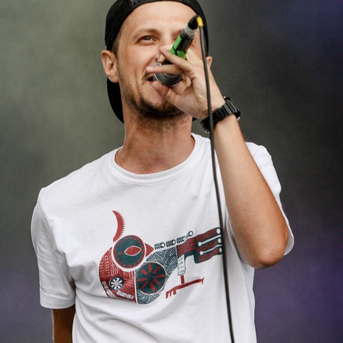 3-subcarpati-bestfest-2013-bucuresti-03