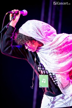 nneka-bestfest-2013-bucuresti-tunari-12