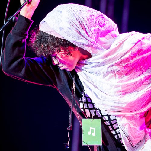 nneka-bestfest-2013-bucuresti-tunari-12